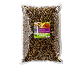 Bráněnka - sušené larvy mouchy bráněnky 500 g